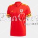 Camiseta Gales Euro 1ª Equipación 2