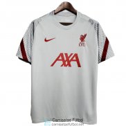 Camiseta Liverpool Training Light Gray 2020/2021