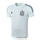 Camiseta Espana Training Green 2020/2021