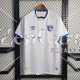Camiseta Avai FC 2ª Equipación 2023/2024