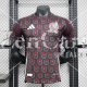Camiseta Authentic Mexico 2ª Equipación 2024/2025